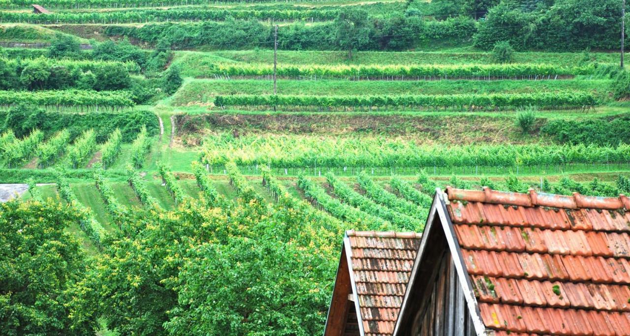 Weingut Jakob'S Ruhezeit Mautern Ngoại thất bức ảnh